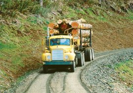 A truck loaded down with timber is driving down a forest road